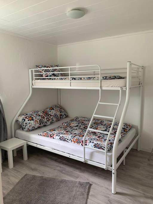 Bergblick Apartment
